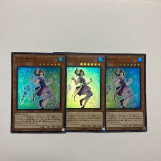 Mudan the Rikka Fairy Super Rare JP017