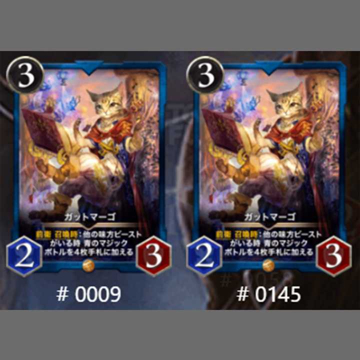 【魚図ステ掲載】ガットマーゴ2枚