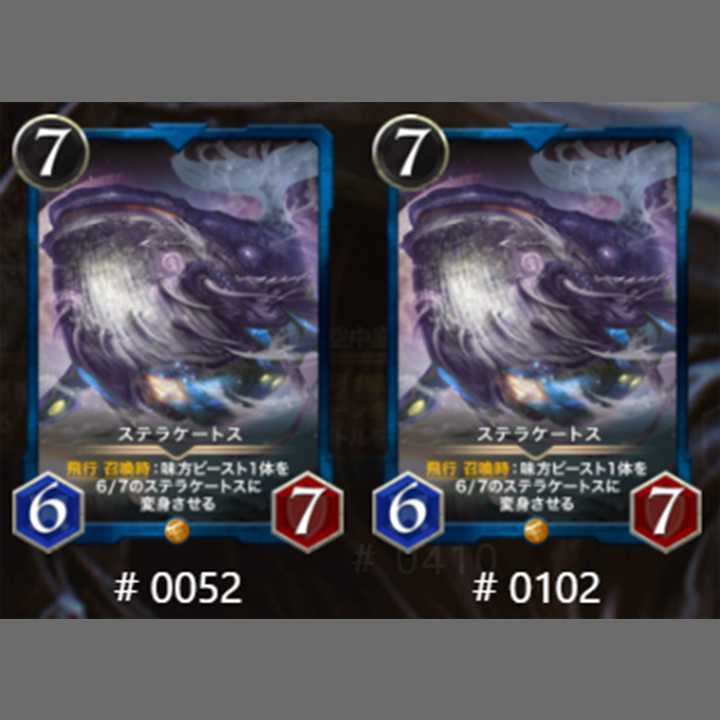 ステラケートス２枚