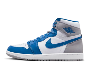 Nike Air Jordan 1 High OG "True Snubbull" True Snubbull/Ho Wight/Cement Grey DZ5485-410 27cm