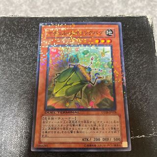 Naturia Stinkbug Normal JP028