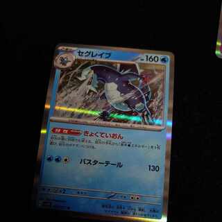 セグレイブ R 027/071