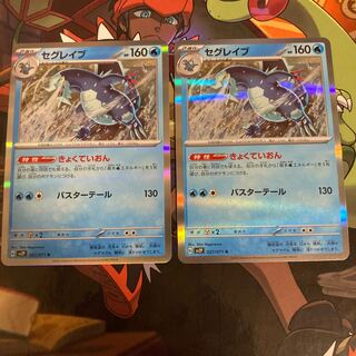 セグレイブ R 027/071