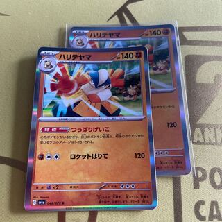 ハリテヤマ R 048/073