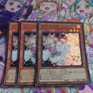 Ash Blossom & Joyous Spring