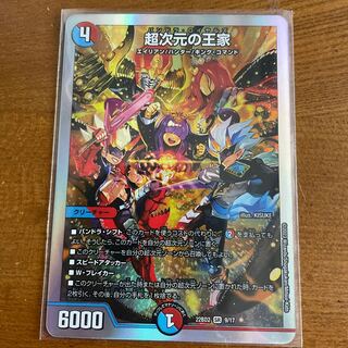 Royal family of the Psychic dimension SR