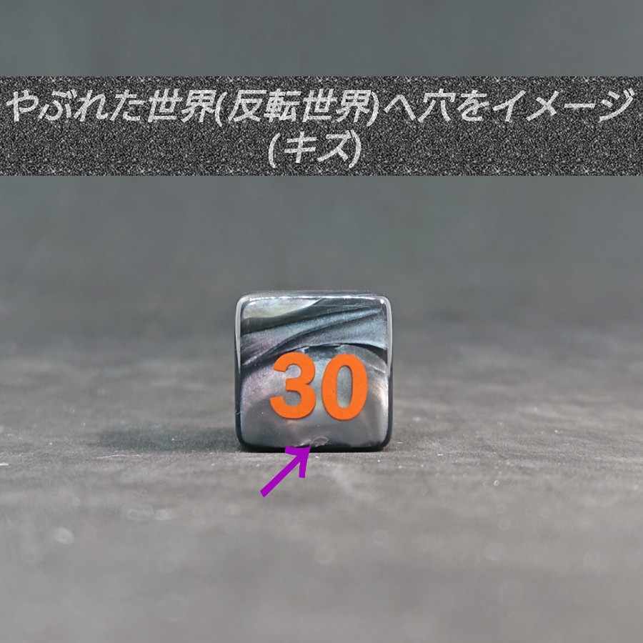 ポケモンカード 対応 ダメカン 代用 ダーク カウンター ダイス サイコロ21 15