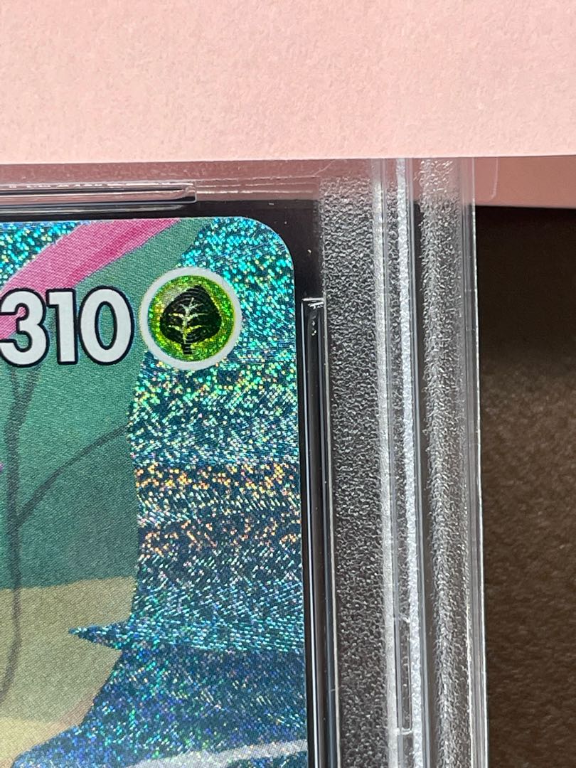 PSA10 Appraised item, complete and beautiful LeafeonVMAX HR 089/069