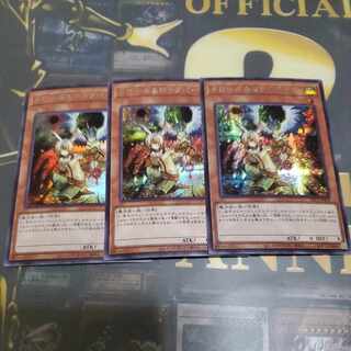 Drawl & Rockbird Secret Rare JP026