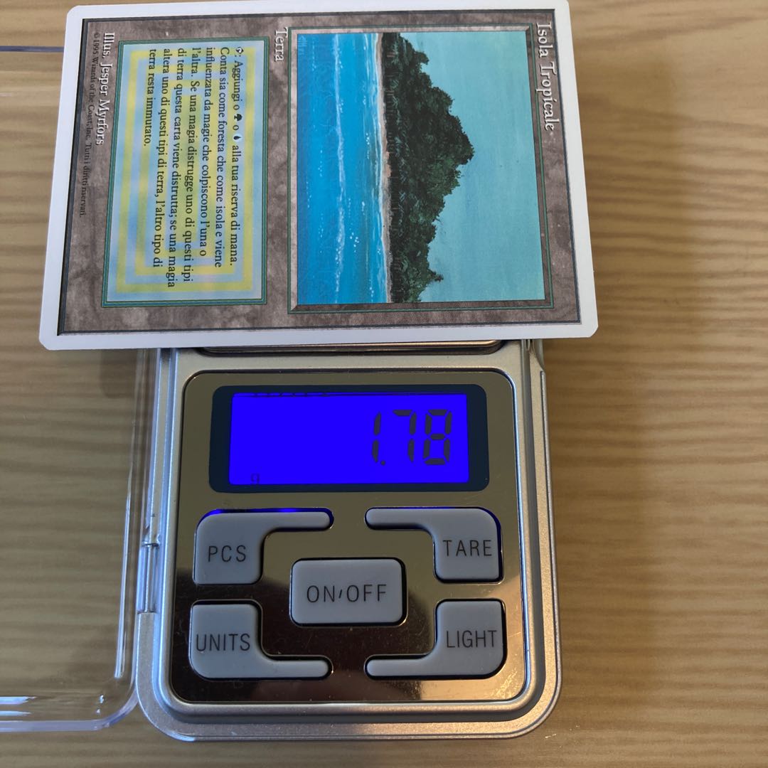 MTG Tropical Island 伊語 NM-