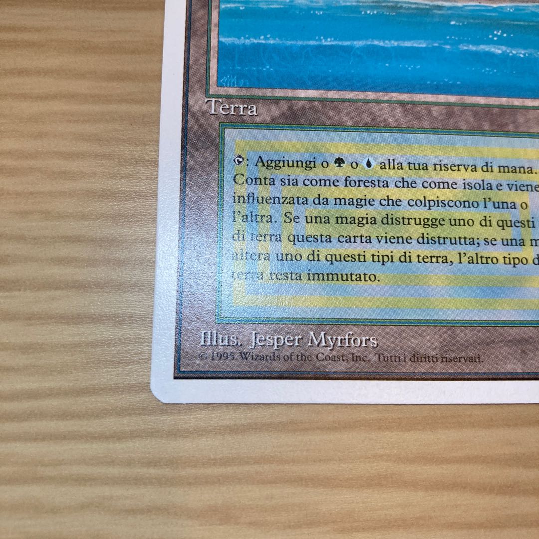 MTG Tropical Island 伊語 NM-