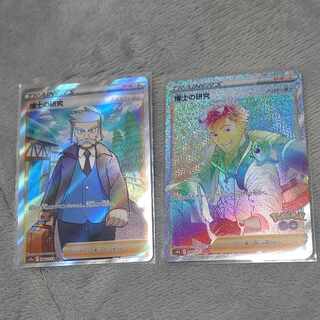 Professor's Research (Professor Magnolia)sr hr