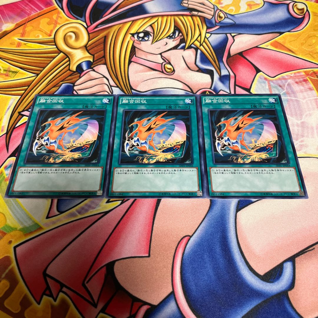 Fusion Recovery Normal JP044