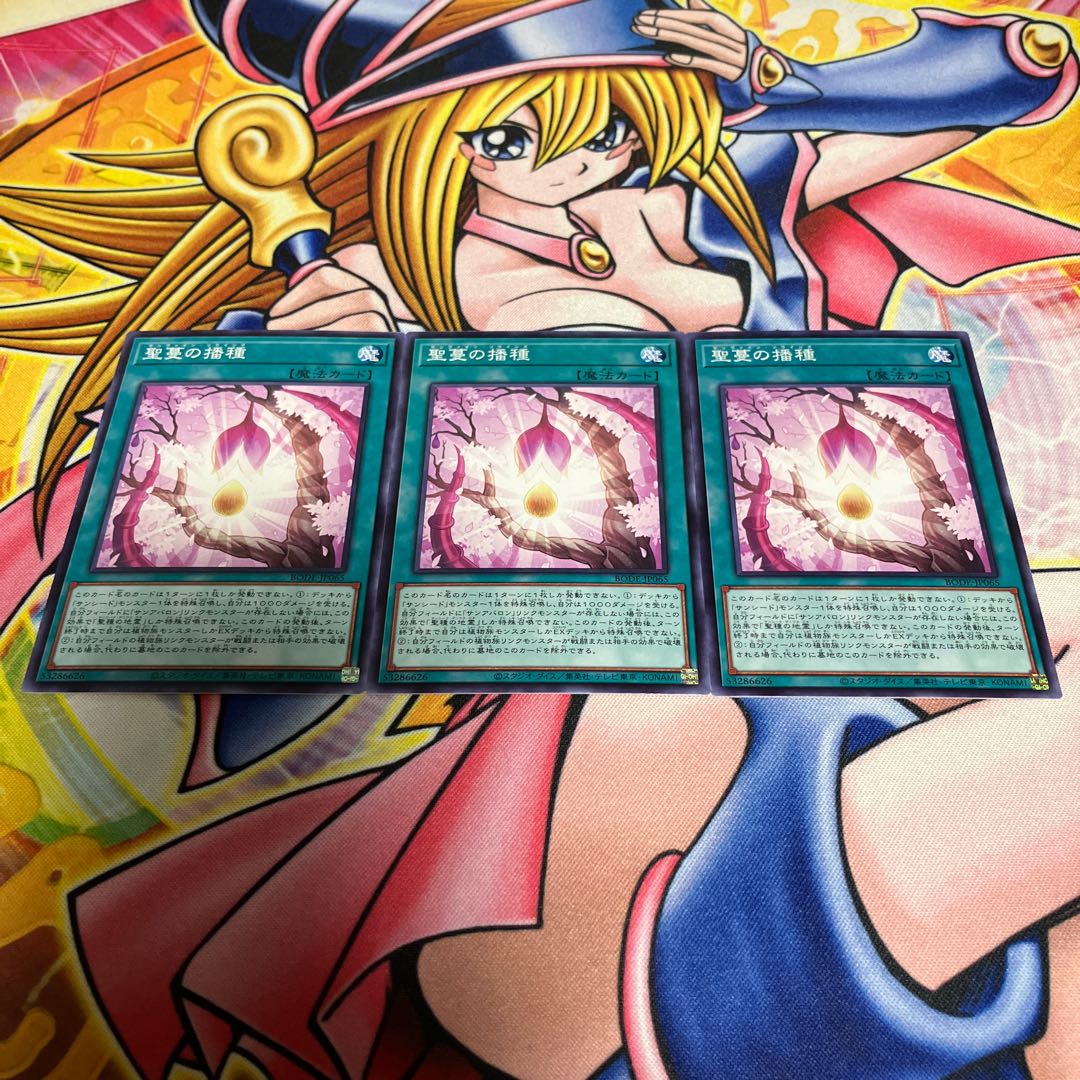 Sunvine Sowing Normal JP065