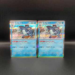 セグレイブ R 027/071