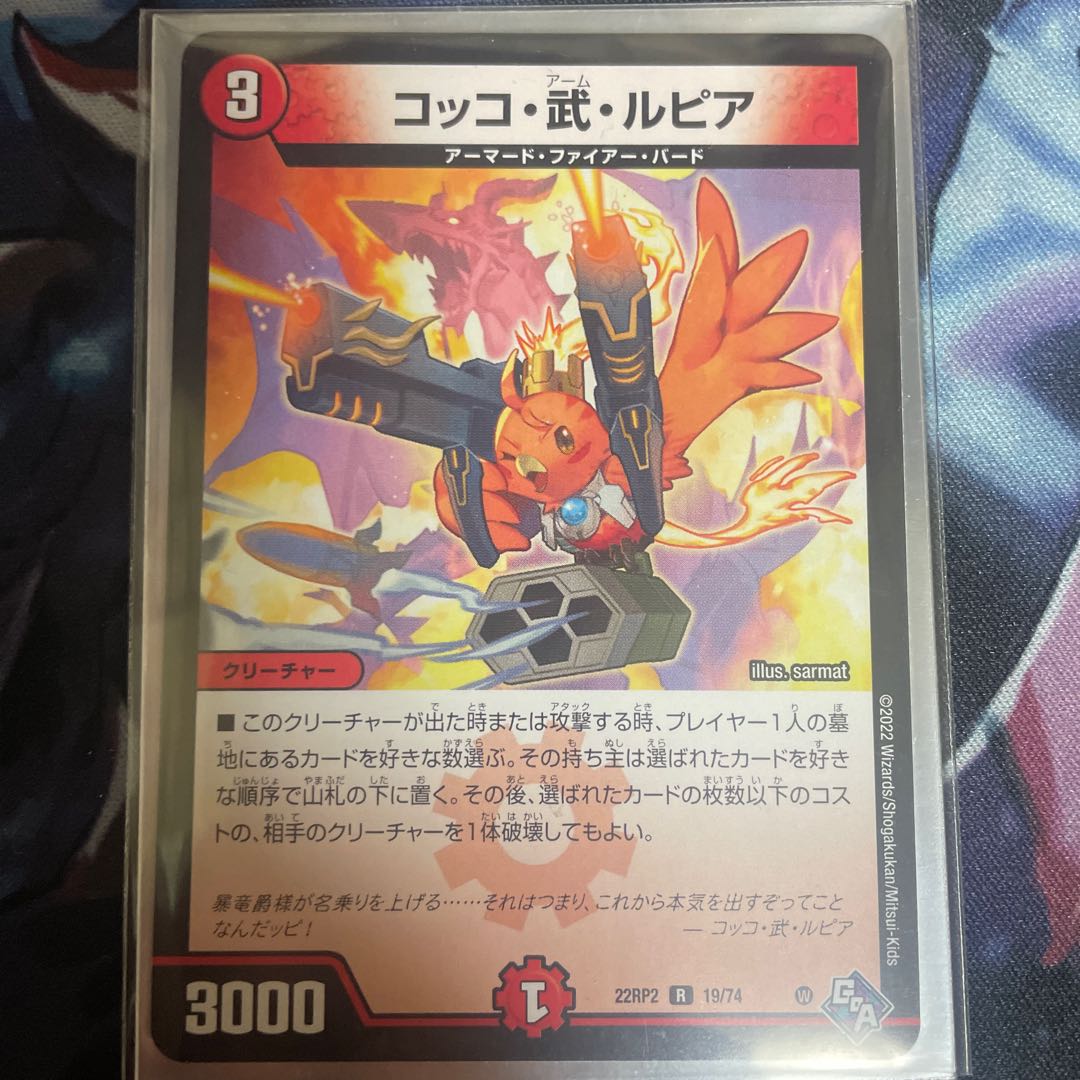 Cocco Bu Lupia R 19/74