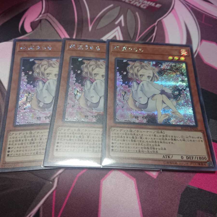 シク 灰流うらら 3枚