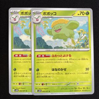 Skiploom C 002/071 2 sheets 2枚