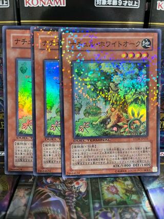 ナチュル・ホワイトオーク