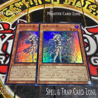 Yu-Gi-Oh, Water Master of the Holy Temple