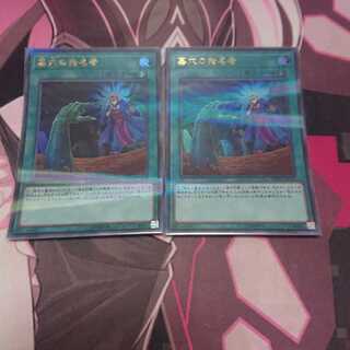 墓穴の指名者 パラレル ウルトレレア 2枚