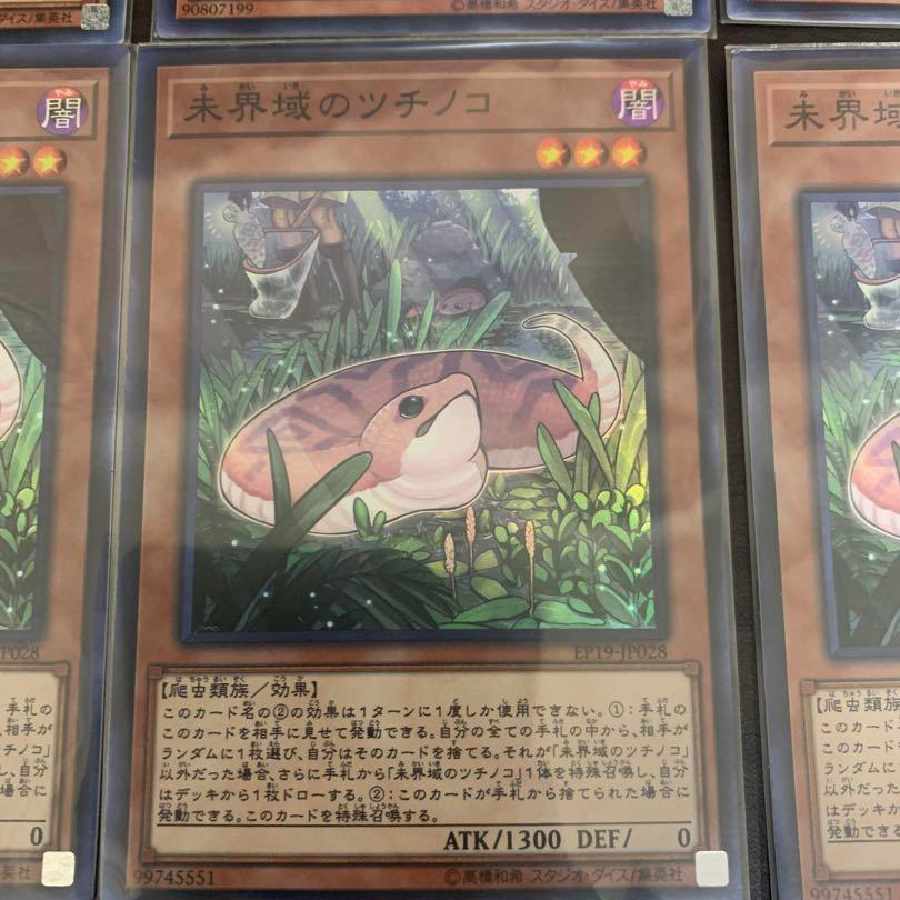 遊戯王 未界域のツチノコ チュパカブラ サンダーバード