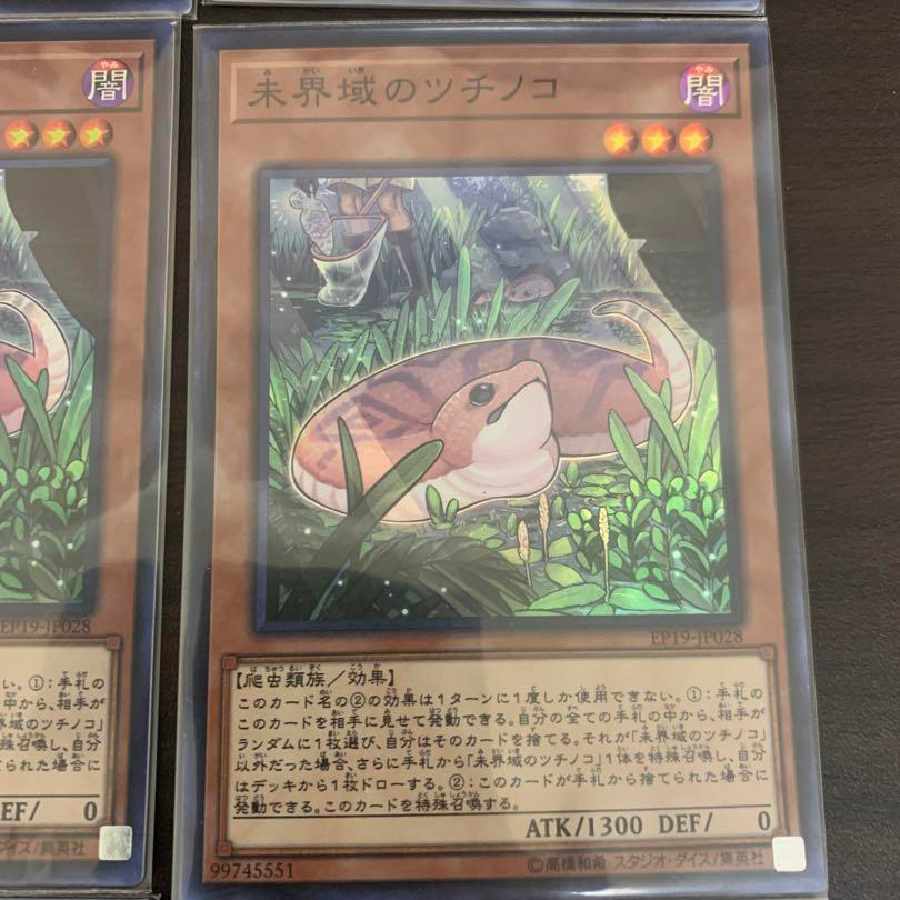 遊戯王 未界域のツチノコ チュパカブラ サンダーバード