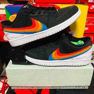 SB Dunk Low Paraloid 26.5cm