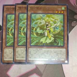 Pearl Miko Furi Rare JP019 3 pieces