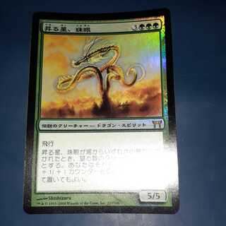 FOIL・昇る星、珠眼 1枚