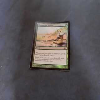 FOIL・垣間見る自然