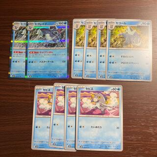 セグレイブ R 027/071 進化ライン