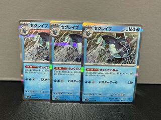 セグレイブ R 027/071