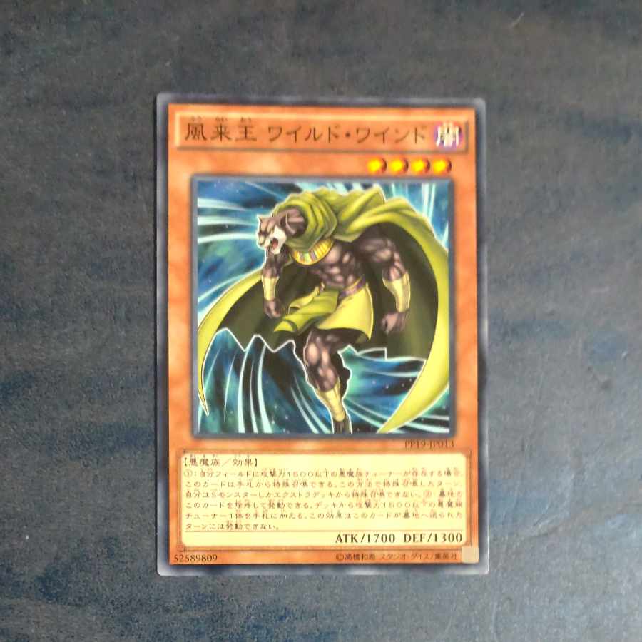 Wandering King Wildwind Normal JP013