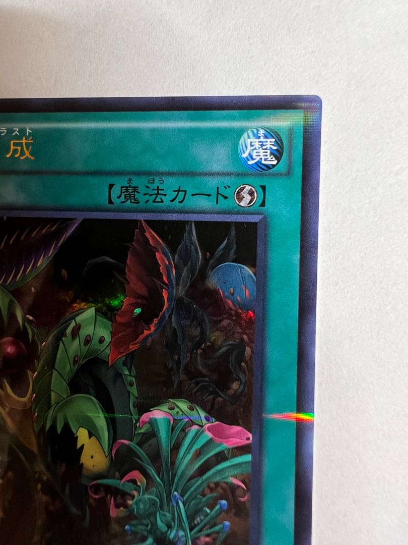 Predaplast Parallel Ultralea JP005 009