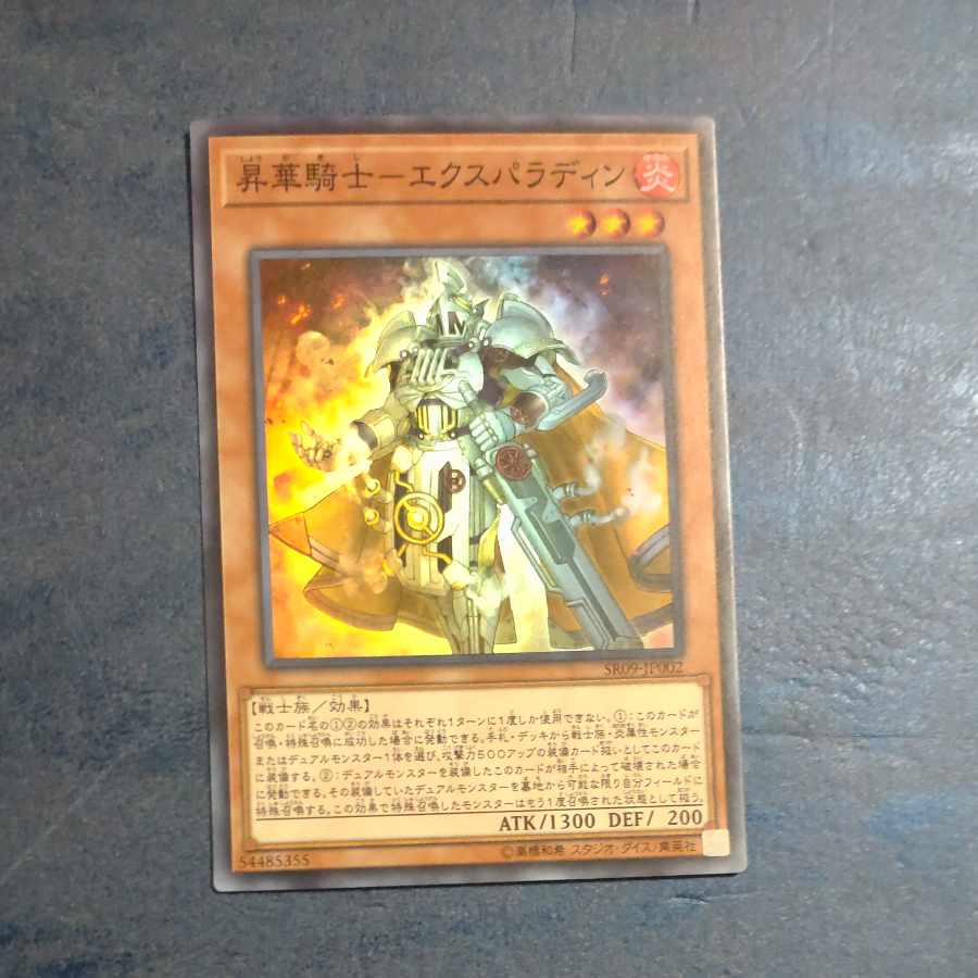 Consecrate Knight - Expaladin Super Rare JP002 [Mokurindo].