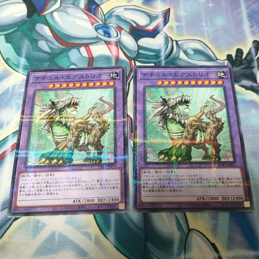 Naturia Exterio parallel normal JP059 1枚