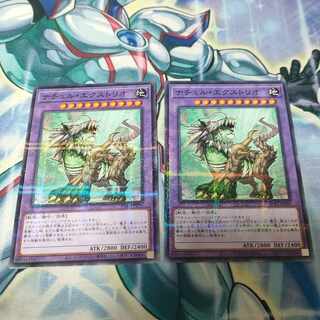 ナチュル・エクストリオ パラレル ノーマル JP059 1枚