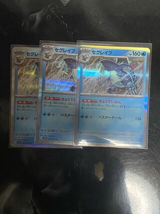 セグレイブ R 027/071