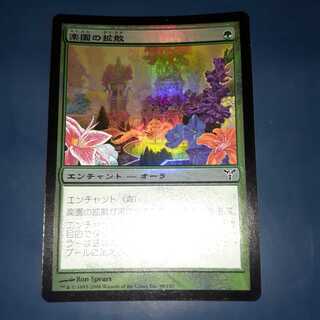 FOIL・楽園の拡散