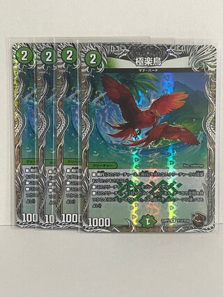 極楽鳥 22RP2 R TF12/TF20 4枚セット 4枚