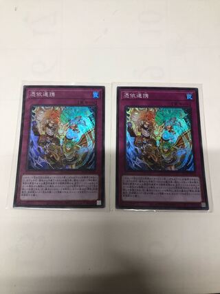 憑依連携2枚セット