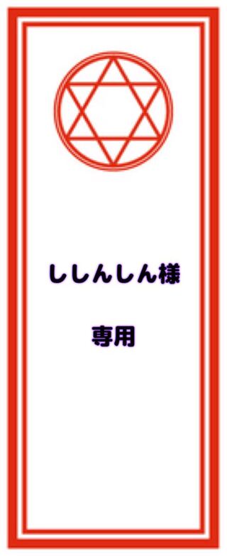 【ししんしん様】専用出品