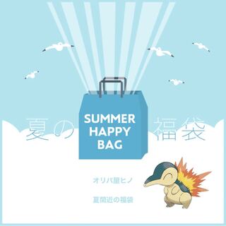 Exclusive for Nest Girls' Support Summer 70,000 yen grab bag 1枚