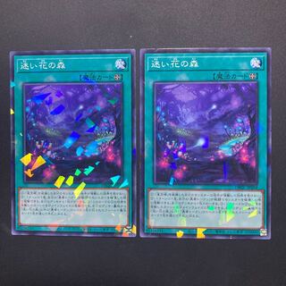 Forest of Lost Flowers 3 pieces