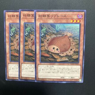 Dead Flattened Leaf Replacing 3 sheets