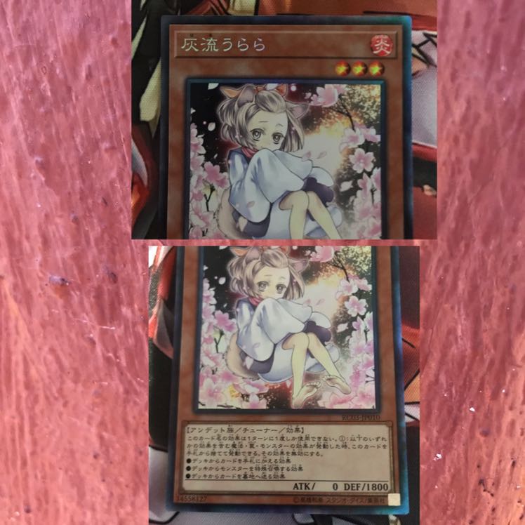 即発送 灰流うらら【新イラ】 コレクターズ3枚 ぽんこつ効果②