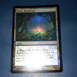 FOIL・霧深い雨林