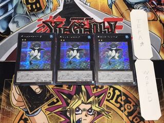 キャット・シャーク シークレット 3枚セット