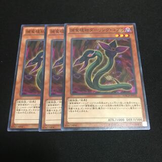 Predaplant Darlingtonia Cobra Normal JP010 3 sheets Special Price